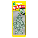 WUNDER-BAUM Eucalyptus